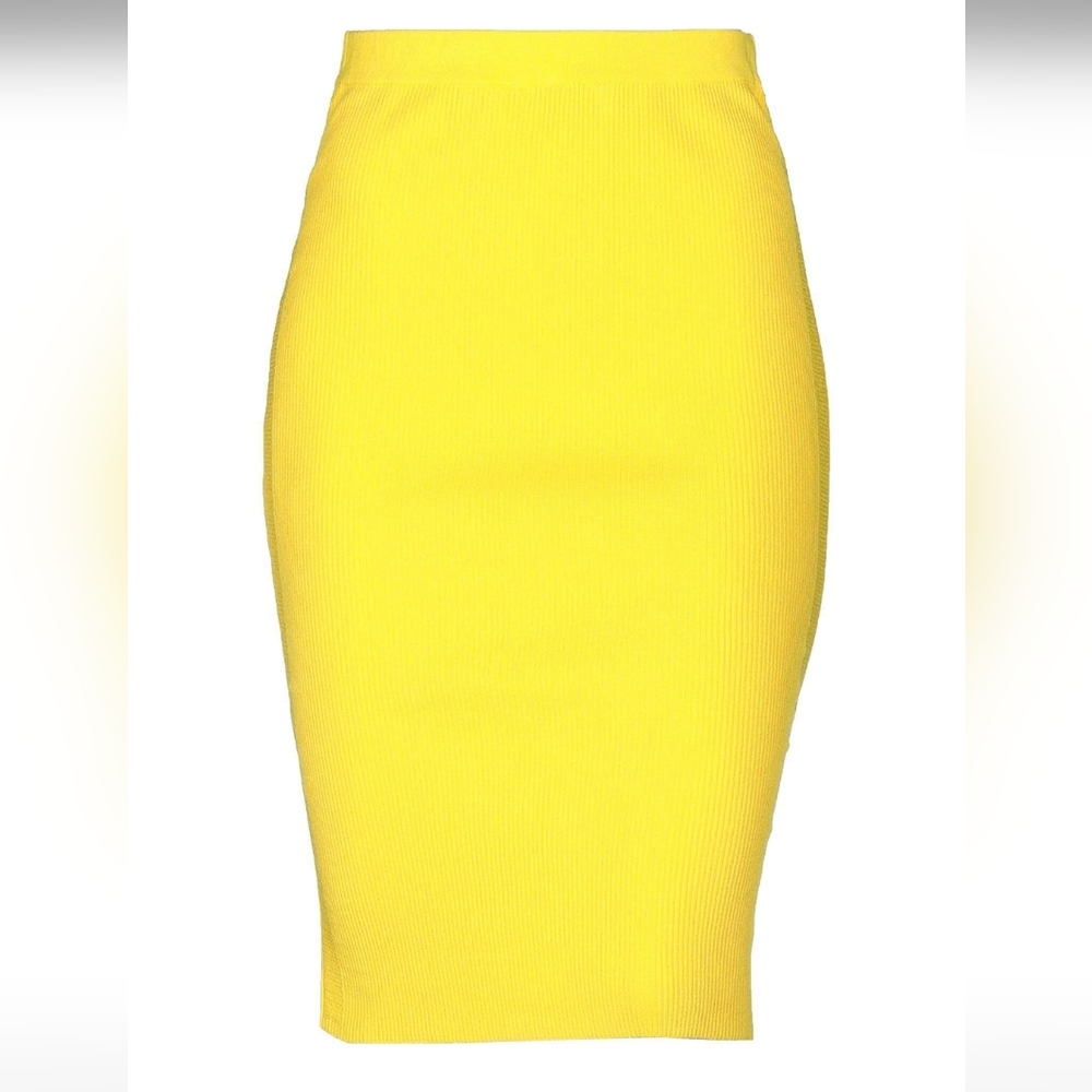 Pinko midi skirt